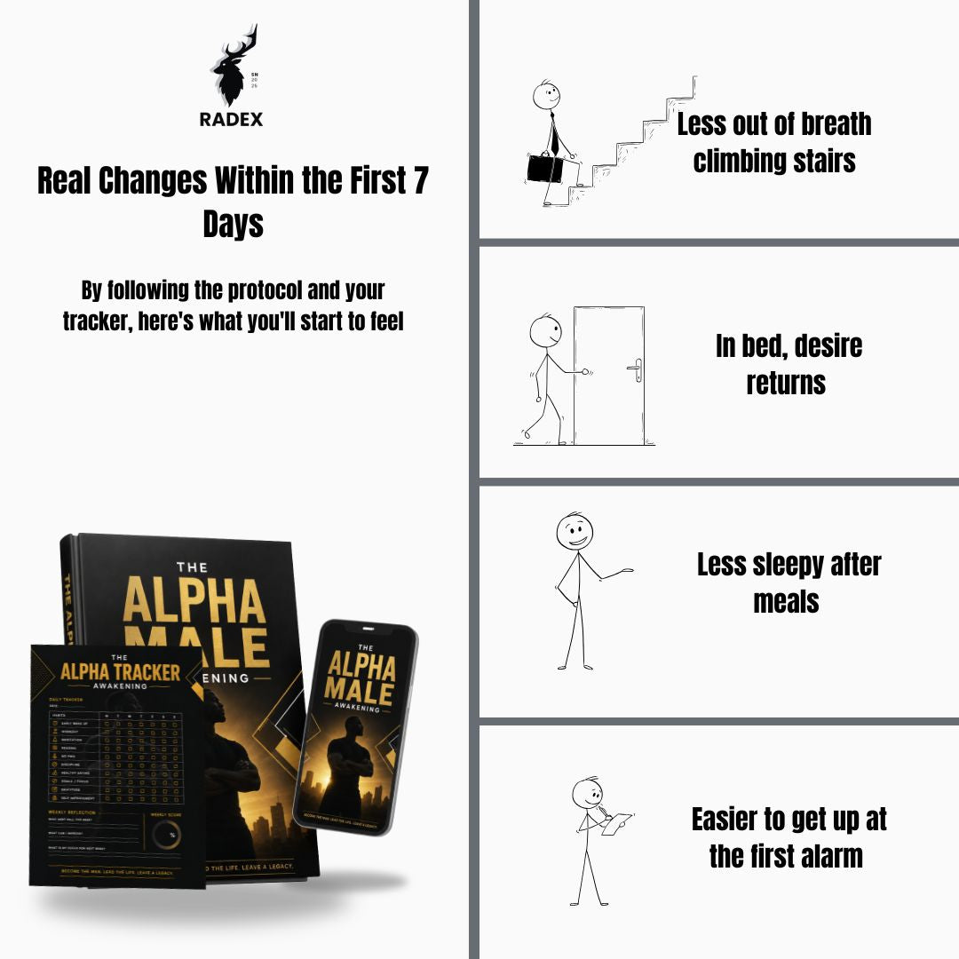 THE ALPHA MALE AWAKENING