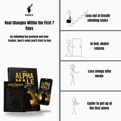 THE ALPHA MALE AWAKENING